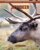Reindeer: Amazing Pictures and Amazing Facts about Reindeer B084DGF22J Book Cover
