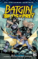 Batgirl and the Birds of Prey, Volume 3: Full Circle 1401277810 Book Cover