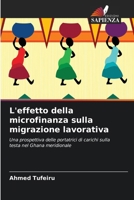 L'effetto della microfinanza sulla migrazione lavorativa (Italian Edition) 6209661920 Book Cover