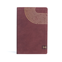 CSB (in)courage Devotional Bible, Bordeaux LeatherTouch 1430082550 Book Cover