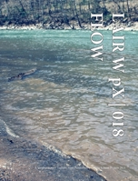LAIR W pX | 018 Flow 1034942042 Book Cover