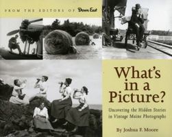 What's in a Picture?: Broiler Queens, Floating House and Other Hidden Stories in Vintage Maine Photography 0892727780 Book Cover