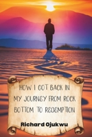 How I Got Back In: My Journey From Rock Bottom to Redemption B0CKGT6KGM Book Cover