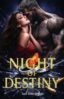 Night of Destiny: A Romance Novel B0CTM3PHL8 Book Cover
