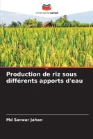 Production de riz sous différents apports d'eau (French Edition) 6208349672 Book Cover