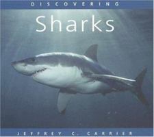 Discovering Sharks 0760325626 Book Cover