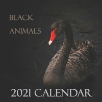 Black Animals 2021 Calendar: 2021 Wall Calendar 12 Months B08Y3XRTZ5 Book Cover