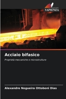Acciaio bifasico (Italian Edition) 6200757674 Book Cover