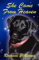 She Came from Heaven 143271709X Book Cover
