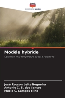 Modèle hybride (French Edition) 6209323901 Book Cover