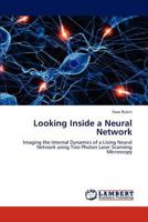 Looking Inside a Neural Network: Imaging the Internal Dynamics of a Living Neural Network using Two Photon Laser Scanning Microscopy 3847378686 Book Cover