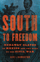South to Freedom: Runaway Slaves to Mexico and the Road to the Civil War 1541617762 Book Cover