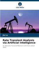 Rate Transient Analysis via Artificial Intelligence (German Edition) 6209466249 Book Cover