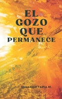 El Gozo que permanece: Una espiritualidad cristiana que trasciende el dolor y transforma la vida (Spanish Edition) B0GHVNBLJG Book Cover
