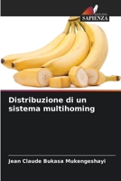 Distribuzione di un sistema multihoming 6206218570 Book Cover