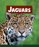 Jaguars 1567668852 Book Cover