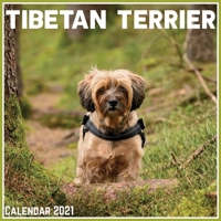Tibetan Terrier Calendar 2021: Official Tibetan Terrier Calendar 2021, 12 Months B08W7SNK29 Book Cover