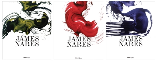 James Nares 0847842576 Book Cover
