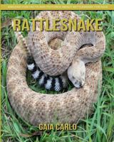 Rattlesnake: Amazing Fun Facts and Pictures about Rattlesnake for Kids 1981351388 Book Cover