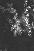 Caldwell 1705704441 Book Cover