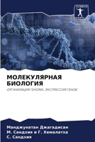 МОЛЕКУЛЯРНАЯ БИОЛОГИЯ: ОРГАНИЗАЦИЯ ГЕНОМА, ЭКСПРЕССИЯ ГЕНОВ 6205874210 Book Cover