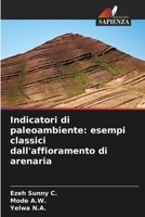 Indicatori di paleoambiente: esempi classici dall'affioramento di arenaria (Italian Edition) 6208248302 Book Cover