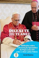 DILEXI TE (EU TE AMEI): Reflexões sobre a Exortação Apostólica do Papa Leão XIV sobre o Amor pelos Pobres (Portuguese Edition) B0GVDTLNSR Book Cover