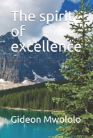 The spirit of excellence 1794313079 Book Cover