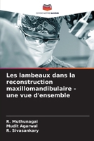 Les lambeaux dans la reconstruction maxillomandibulaire - une vue d'ensemble (French Edition) 6207562674 Book Cover