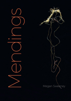 Mendings 1478019107 Book Cover