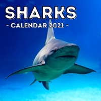 Sharks Calendar 2021: Cute Gift Idea For Sharks Lovers Men And Women B08Y4FHNK8 Book Cover