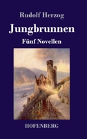 Jungbrunnen (Großdruck) (German Edition) 3743731193 Book Cover