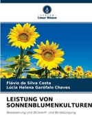 Leistung Von Sonnenblumenkulturen 6204158554 Book Cover