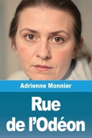 Rue de l'Odéon (French Edition) 3690827515 Book Cover