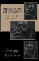 Provocaste Mi L�grima: Versos de Tierra Adentro 154306275X Book Cover