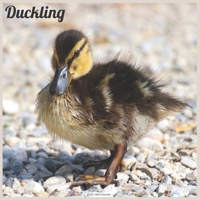 Duckling 2021 Wall Calendar: Official Duckling Calendar 2021 null Book Cover