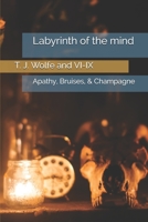 Labyrinth of the mind: Apathy, Bruises, & Champagne (Duology) B087CP7J5M Book Cover