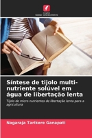 Síntese de tijolo multi-nutriente solúvel em água de libertação lenta: Tijolo de micro nutrientes de libertação lenta para a agricultura (Portuguese Edition) 6208696798 Book Cover