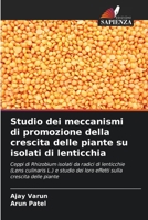 Studio dei meccanismi di promozione della crescita delle piante su isolati di lenticchia (Italian Edition) 6207552393 Book Cover