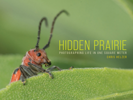 Hidden Prairie: Photographing Life in One Meter 1609386930 Book Cover