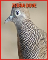 Zebra Dove: Fun Facts and Amazing Photos of Animals in Nature B08W7DMXP6 Book Cover