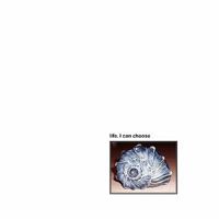 Life. I Can Choose 1450094406 Book Cover