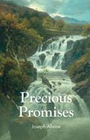 Precious Promises 1800400195 Book Cover