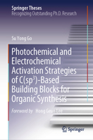 Photochemical and Electrochemical Activation Strategies of C(sp3)-Based Building Blocks for Organic Synthesis (Springer Theses) 9819989930 Book Cover