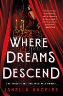 Where Dreams Descend 1250204372 Book Cover