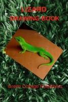 LIZARD DRAWING BOOK: Premium Quality Color Paper B09TGGT4JD Book Cover