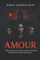 Amour: Cuando la locura eclipsa la cordura (Saga Luz y Oscuridad) B0DSJBJY6B Book Cover