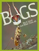Bugs Big & Small: God Made Them All 0890518351 Book Cover