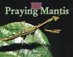 Bugs - Praying Mantis (Bugs) 0737717734 Book Cover