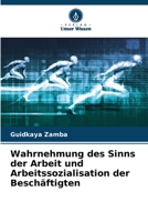 Wahrnehmung des Sinns der Arbeit und Arbeitssozialisation der Beschäftigten 6206190269 Book Cover